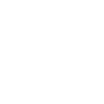 Building protection Icon